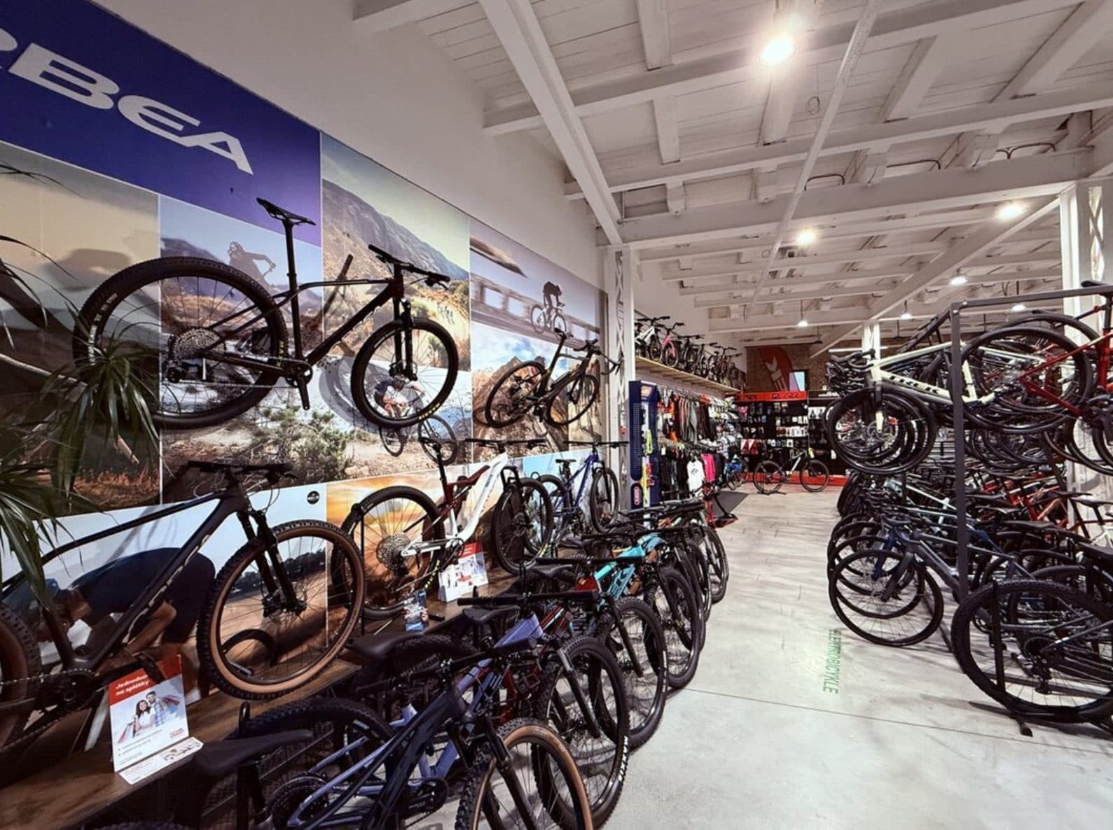 Profibikers
